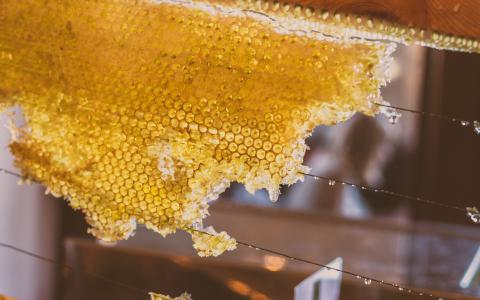 一物一码溯源系统对蜂蜜的重要性
