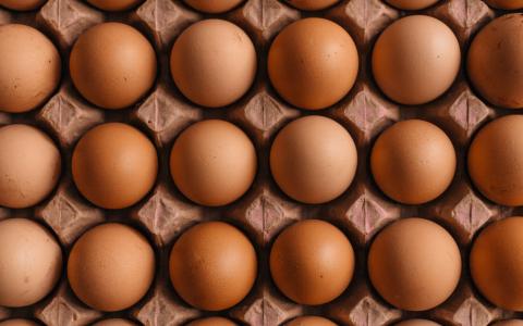 鸡蛋用防伪溯源系统的好处