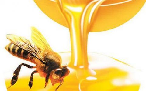 蜂蜜追溯系统--提升蜂蜜产品信任度